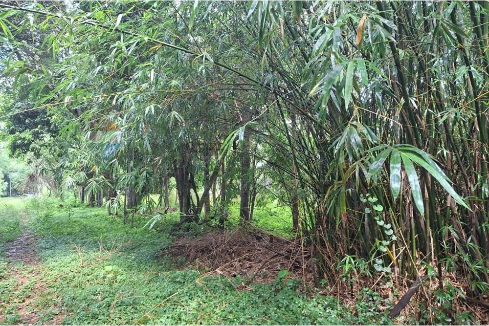 Terreno - Venta - San Bernardino, Cordillera, Paraguay, Inversión! — foto 3