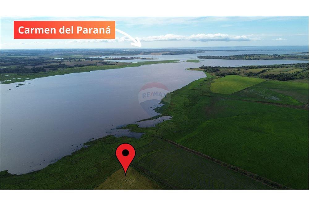 VENDO CAMPO DE 34 HECTAREAS EN CORONEL BOGADO ITAPUA — foto 3