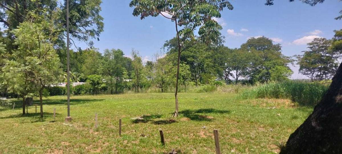 VENDO TERRENO DE 1,246 m2 EN CONDOMINIO PRIVADO COSTA ALTA EN VILLA ELISA — foto 2