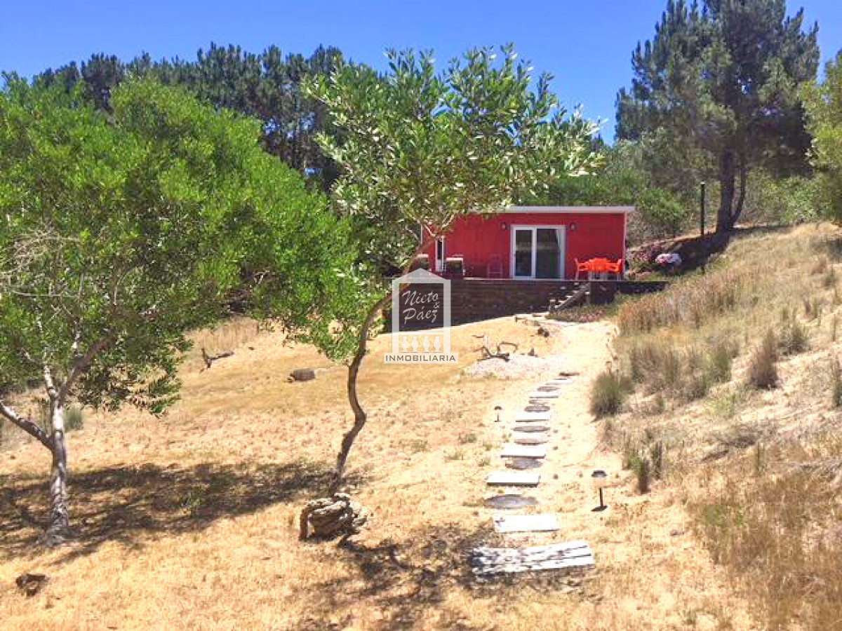 Photo 2 of 13