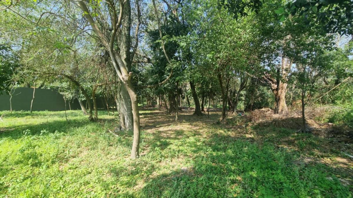 TERRENO A PASOS DEL CLUB NAUTICO SAN BERNARDINO — foto 2