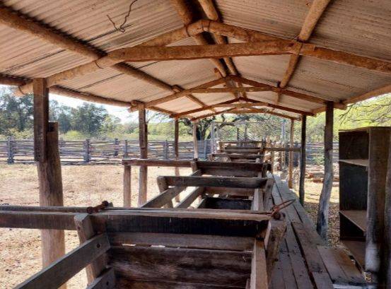 VENDO ESTANCIA EN EL CHACO PARAGUAYO — foto 3