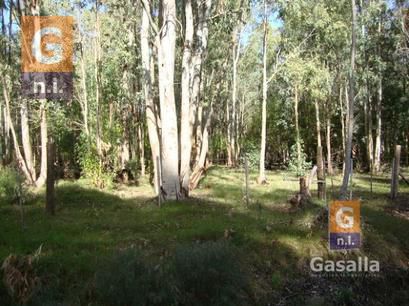 Terreno En Piriápolis (bella Vista)