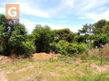 Terreno En Piriápolis (punta Negra)