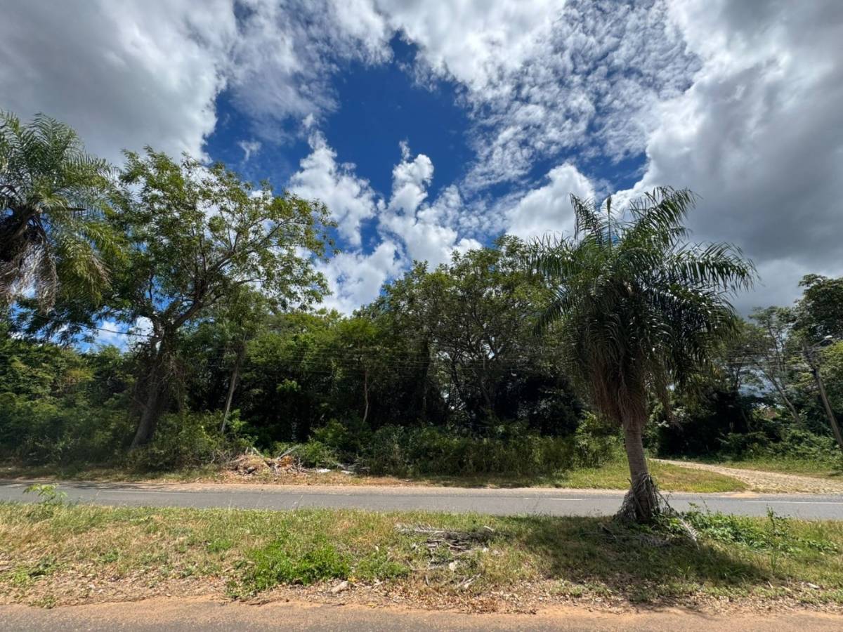 VENDO TERRENO SOBRE AV. MBOCAYA - SAN BERNARDINO A CUADRAS DE GUILLERMO NAUMANN — foto 2