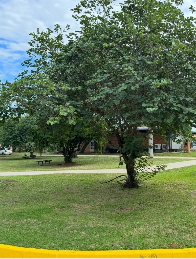 VENDO TERRENO EN CONDOMINIO AYRES DE SANBER — foto 3