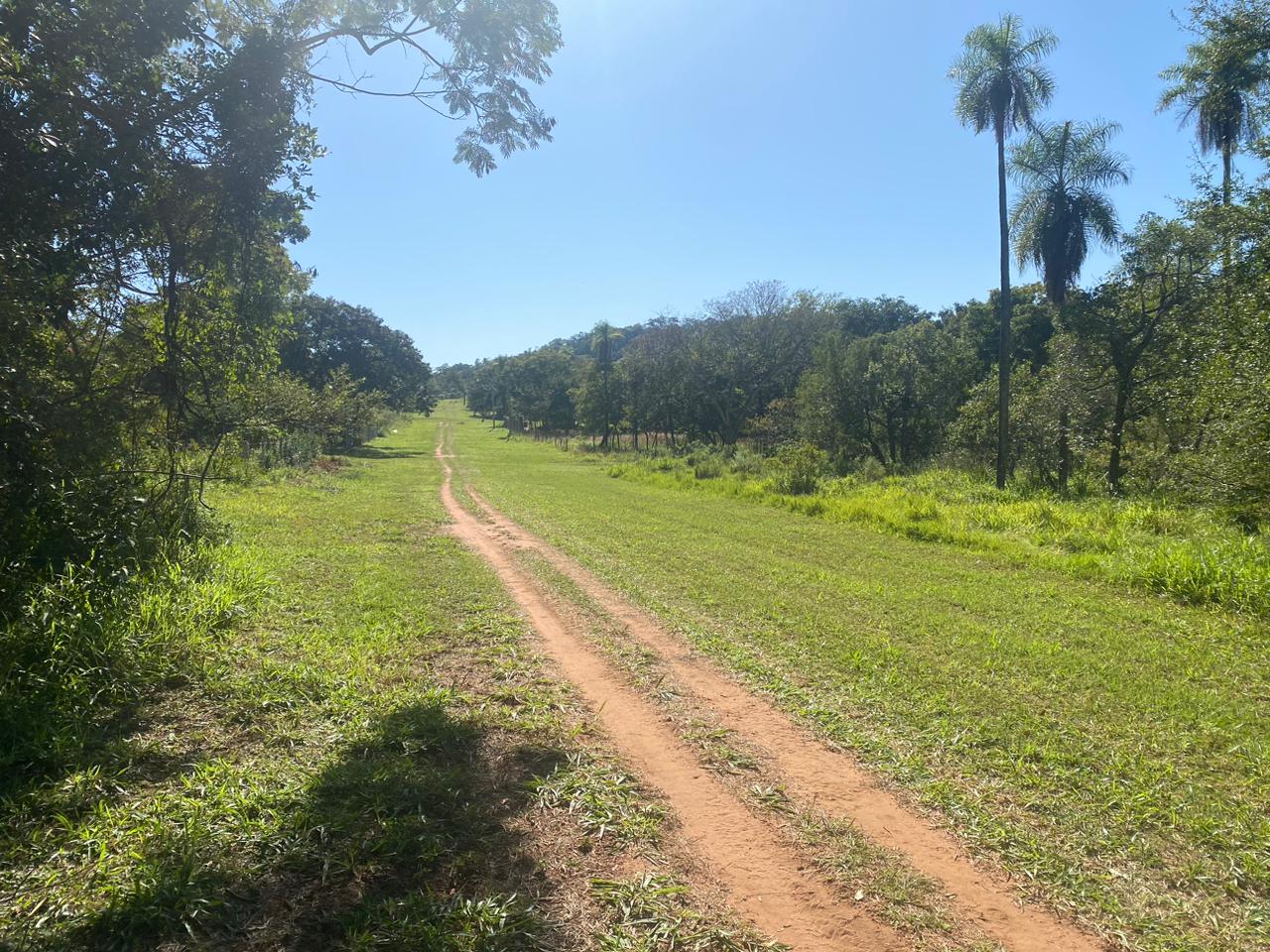 Venta Terreno Atyra "Quinta" Fracción Belv — foto 3