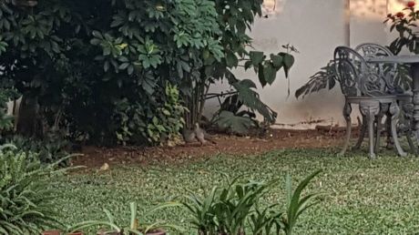 Sajonia, 1 Cuadra Del Poder Judicial. Sobre Dr. Paiva.