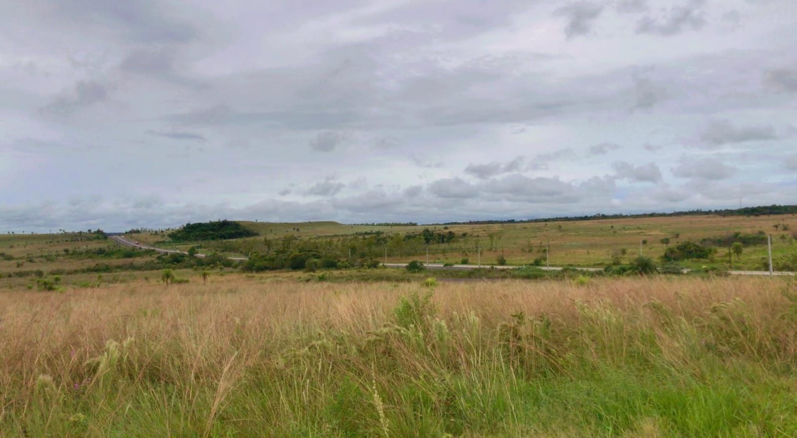 Campo Estratégico sobre Ruta 2: Conectividad y Potencial entre Eusebio Ayala e Itacurubí. — foto 2