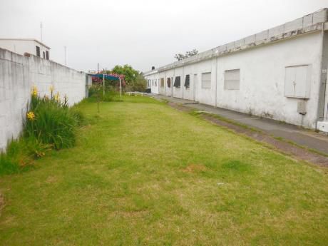 Apartamentos En Malvín Norte