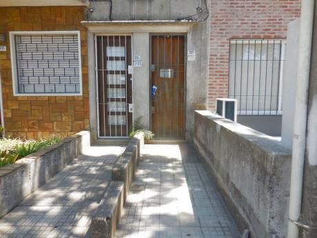 Apartamentos En Buceo