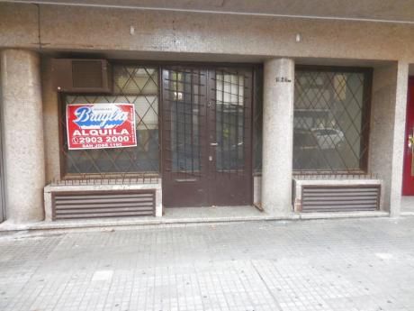 Locales Comerciales En Centro