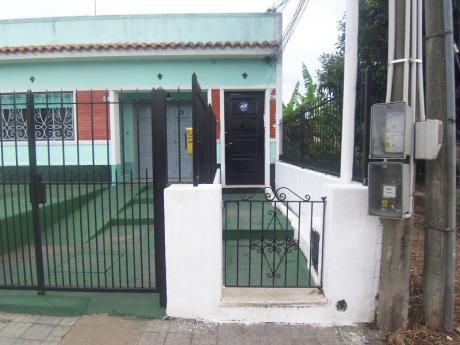 Apartamentos En Malvín Norte