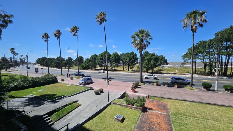 Apartamentos en Punta Gorda