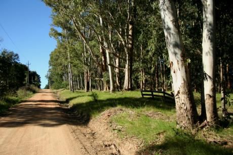 Lote En Venta