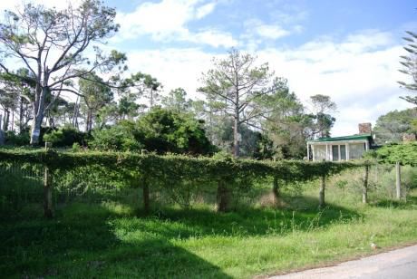 Lote En Venta