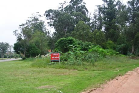 Lote En Venta