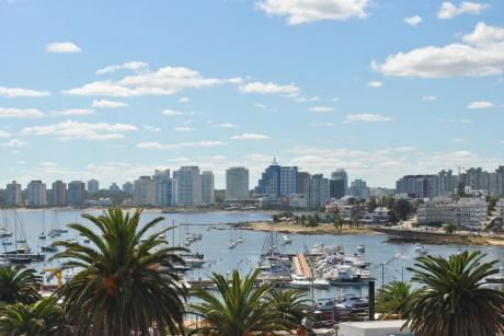 Apartamento En Alquiler 1 Dormitorios