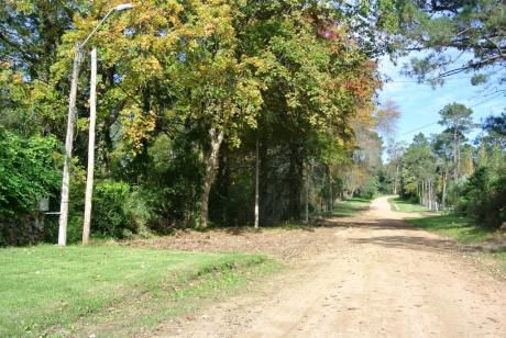 Lote En Venta