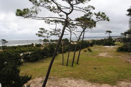 Apartamento En Alquiler 2 Dormitorios