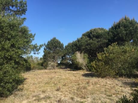 Lote En Venta