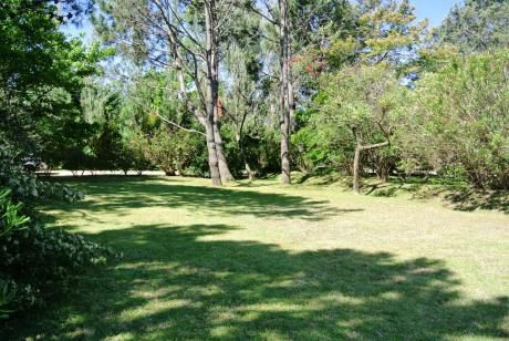 Lote En Venta