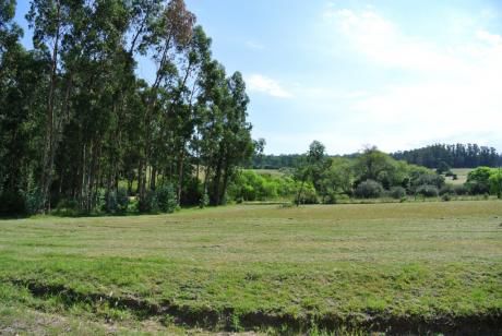 Lote En Venta