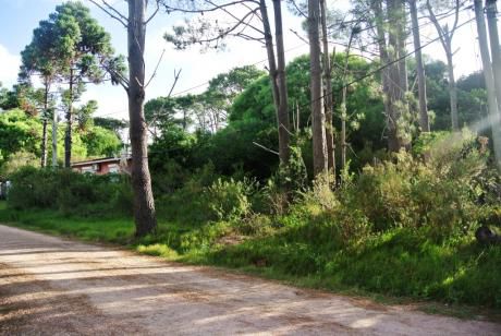Lote En Venta