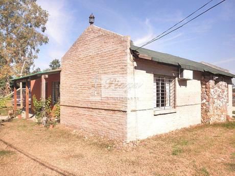 Casas En El Pinar
