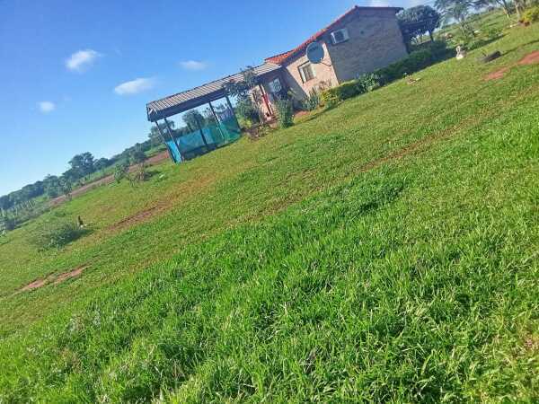 Se vende propiedad de 50 hectáreas titulada en canindeyu sobre ruta — foto 2