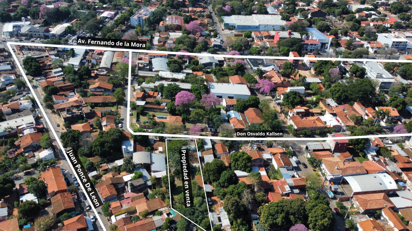 Oportunidad única En Vista Alegre – Asunción! Remato Casa Terreno A 720millones — foto 3