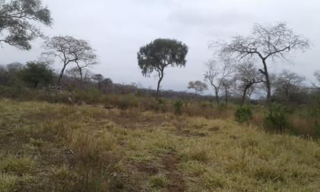 Propiedad En Mora