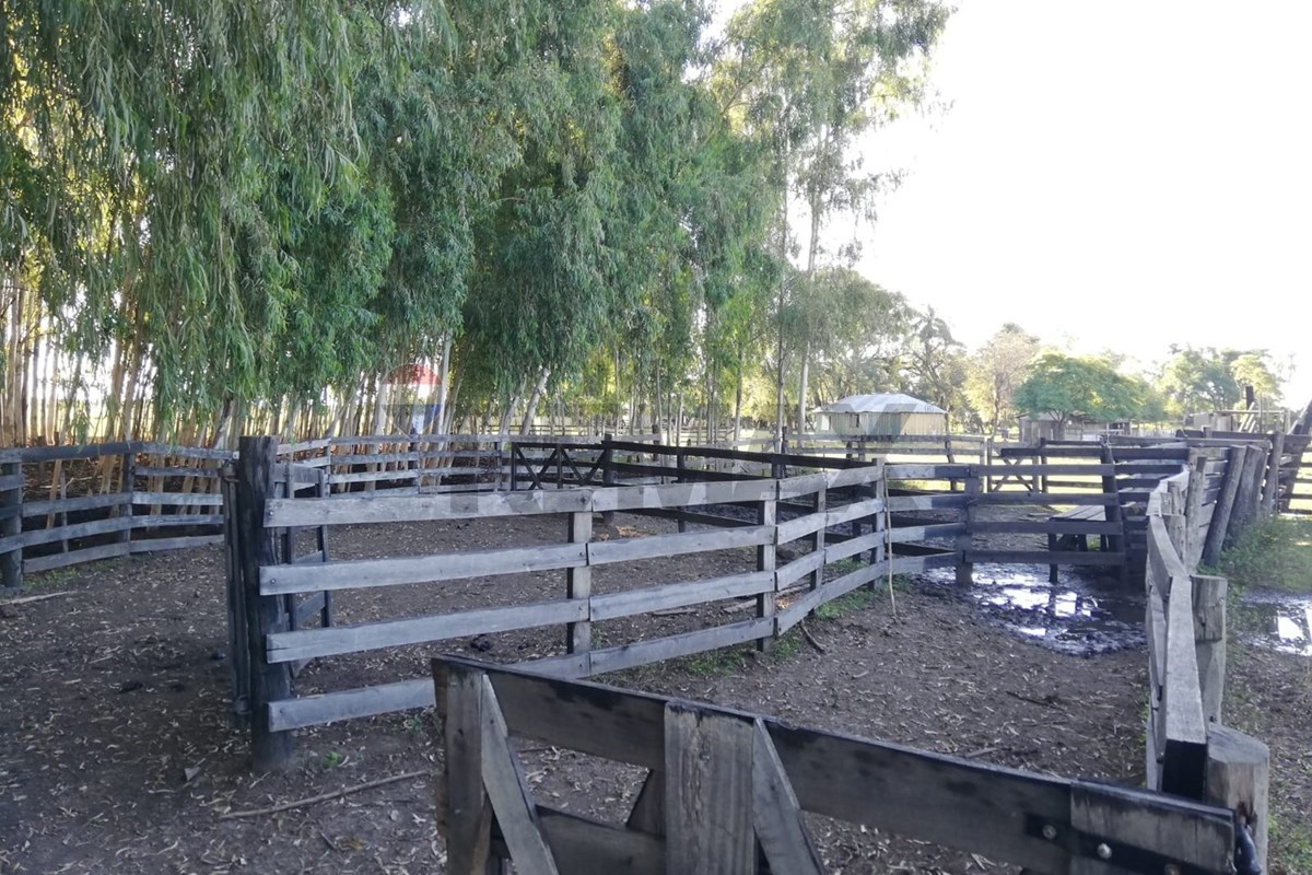 ESTANCIA DE 288 HAS EN ARROYOS Y ESTEROS EN VENTA — foto 3