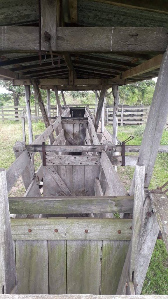 CAMPO AGRICOLA, GANADERO Y FORESTAL EN VENTA | 4.091 HECTÁREAS | SAN PEDRO, PY — foto 3