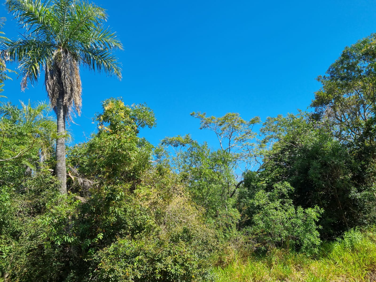 Venta - Terrenos - Paraguay - Cordillera - Caacupé — foto 2