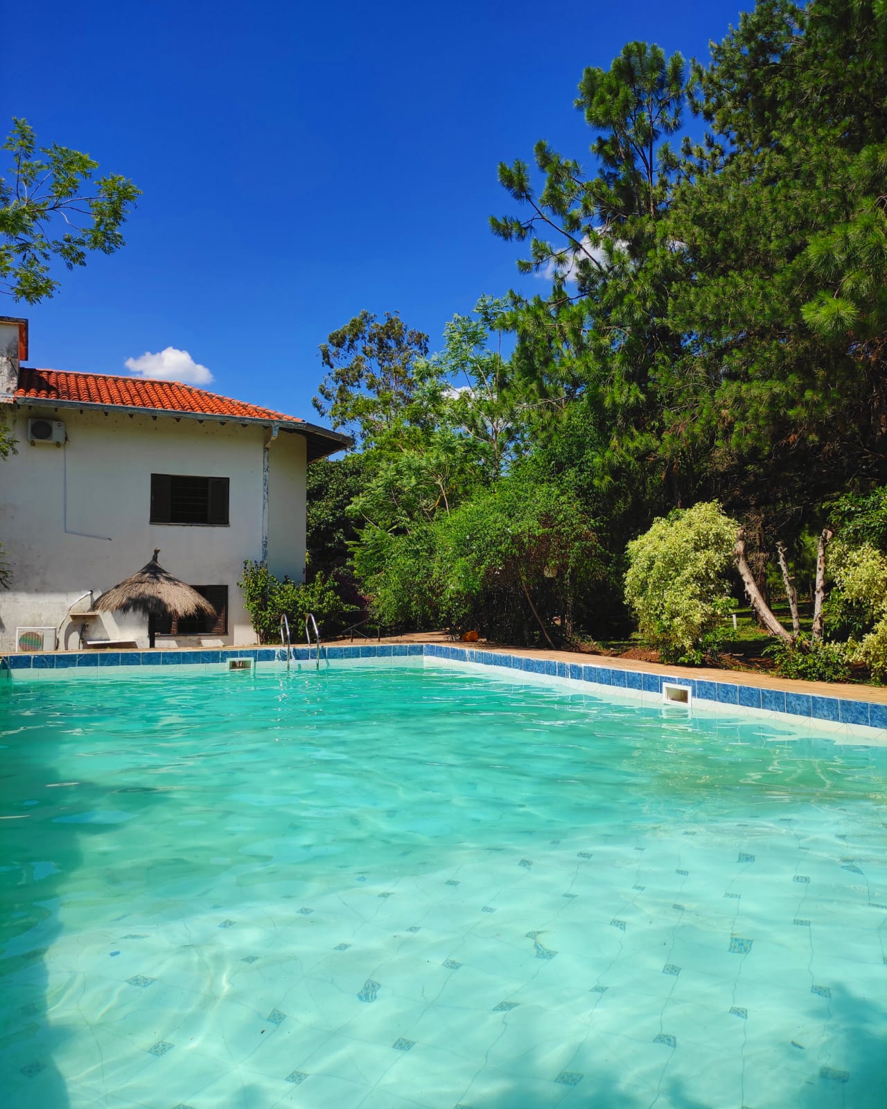 Vendo Granja Modelo en Isla Alta, Emboscada de 6hts-LHO4807797 — foto 2