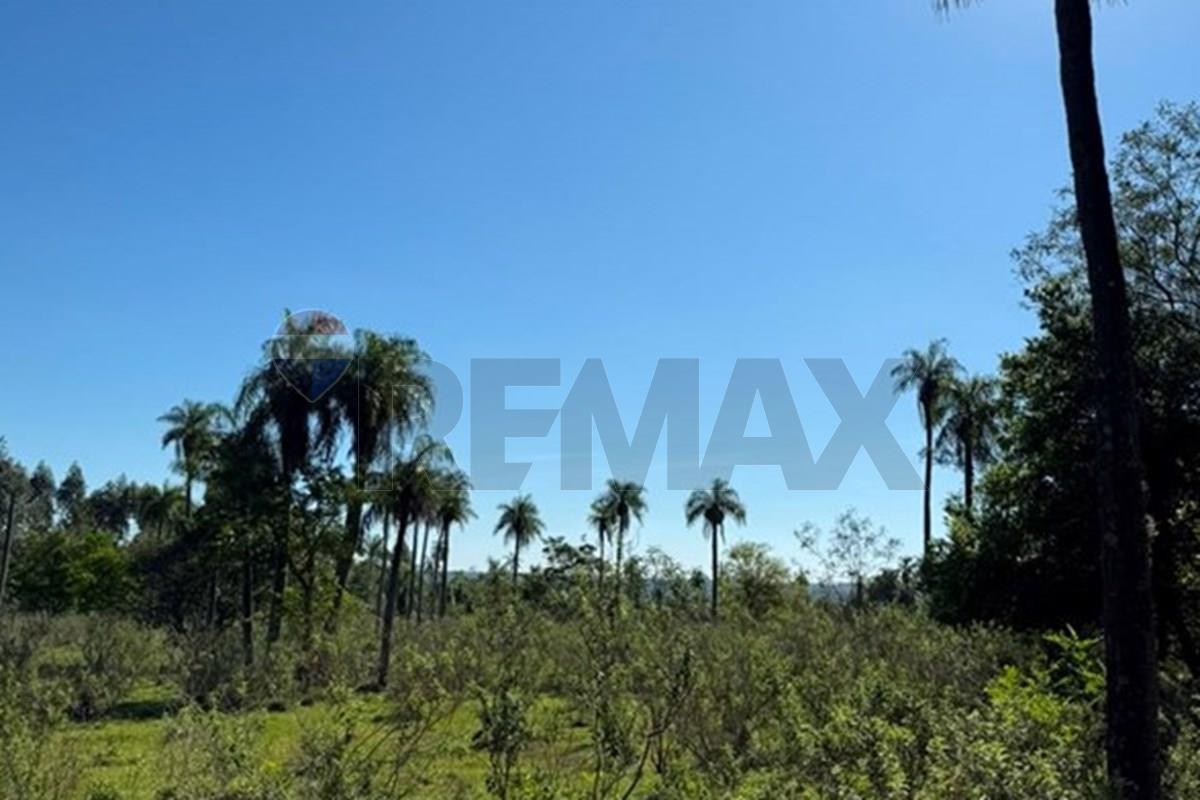 VENDO 23.956 M2 EN CAACUPE — foto 3