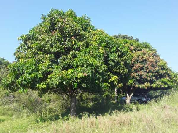 ¡Oportunidad única! Terrenos en venta en Atyrá – Mbururú — foto 2