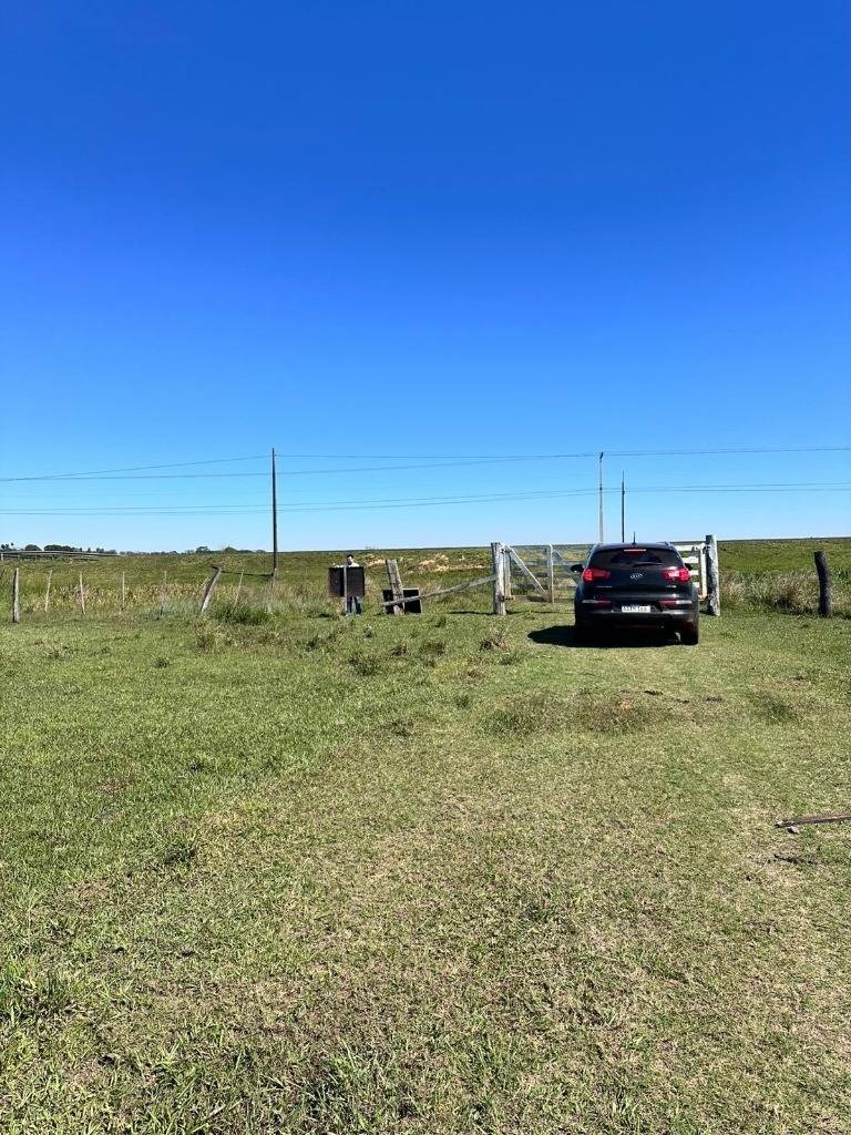 Vendo 45has De Propiedad Rural En Coronel Oviedo — foto 2