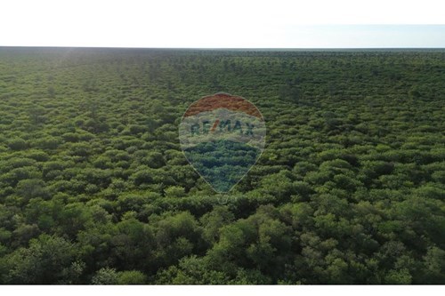 ESTANCIA-CAMPO EN VENTA — foto 3