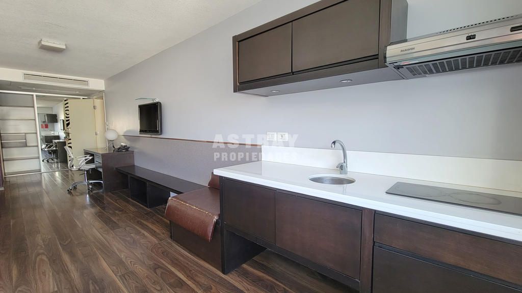 Departamento en alquiler monoambiente en Punta Carretas · Foto 5