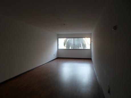 Apartamento En Alquiler Monoambiente