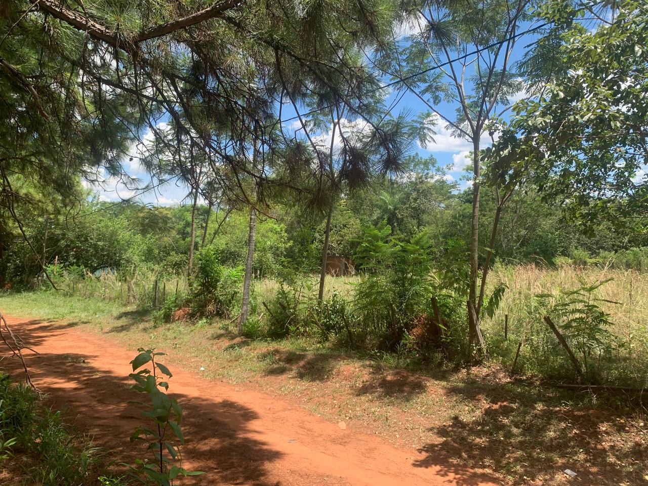Terreno en venta en Paraguarí — foto 3