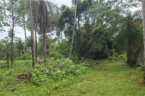 Venta TERRENO en SANBER — foto 3