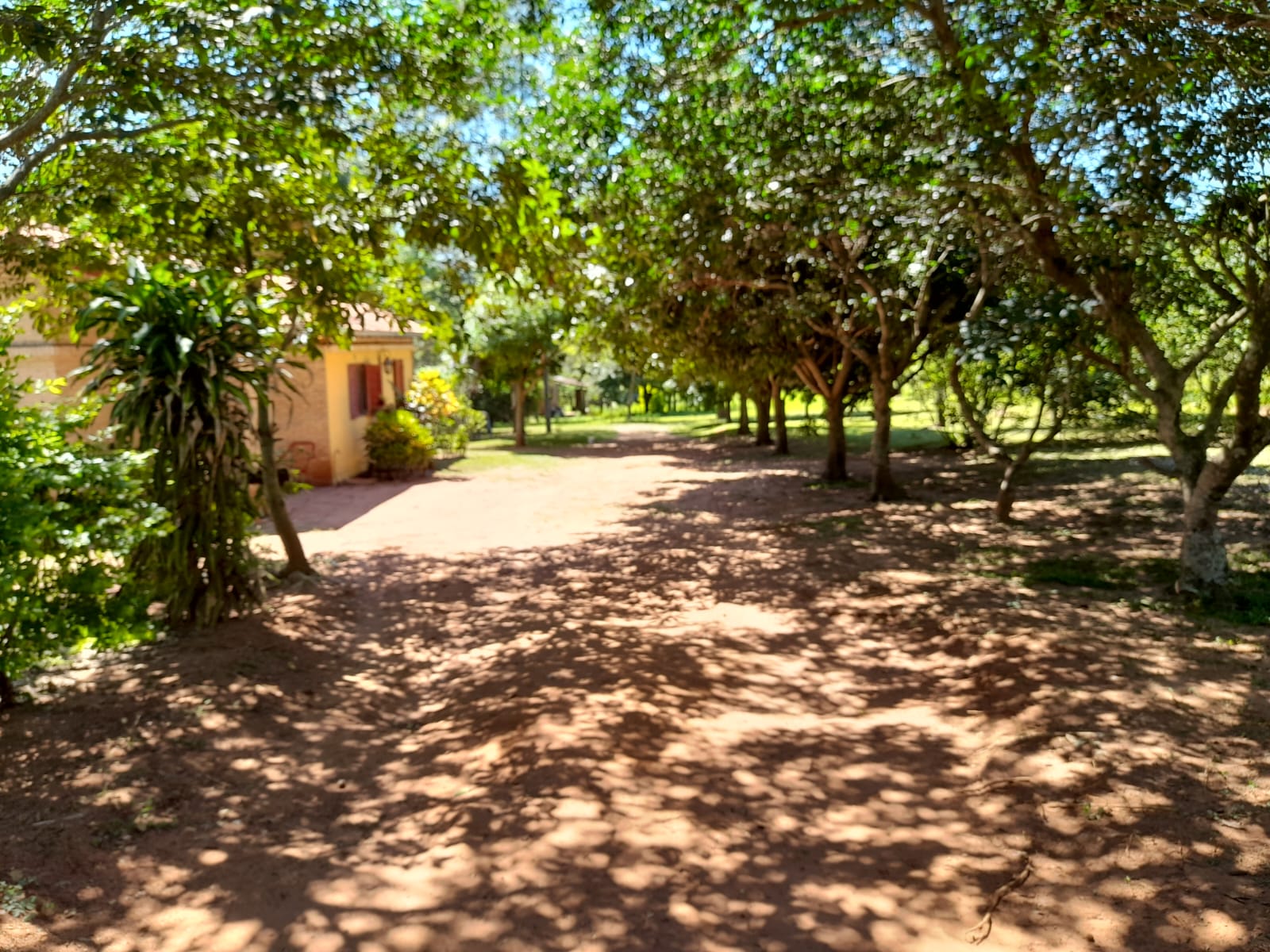 Terreno en VENTA 11 Hectareas!! Paraguari!!!!! — foto 3