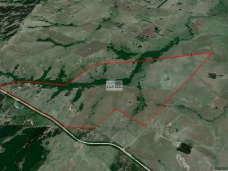 Venta De Campo Con Arrendamiento