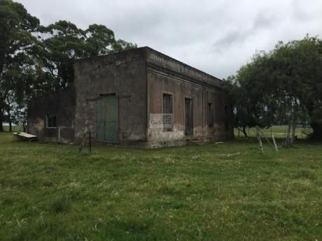 Campo De Aptitud Ganadero Forestal