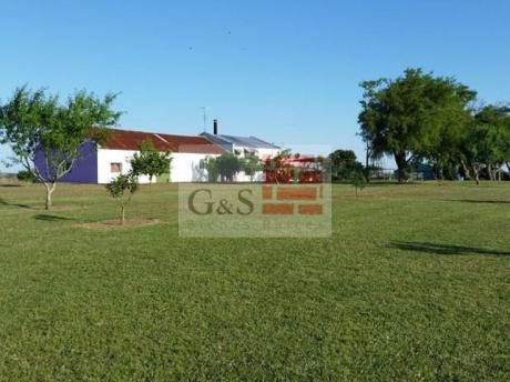 Campo En San José