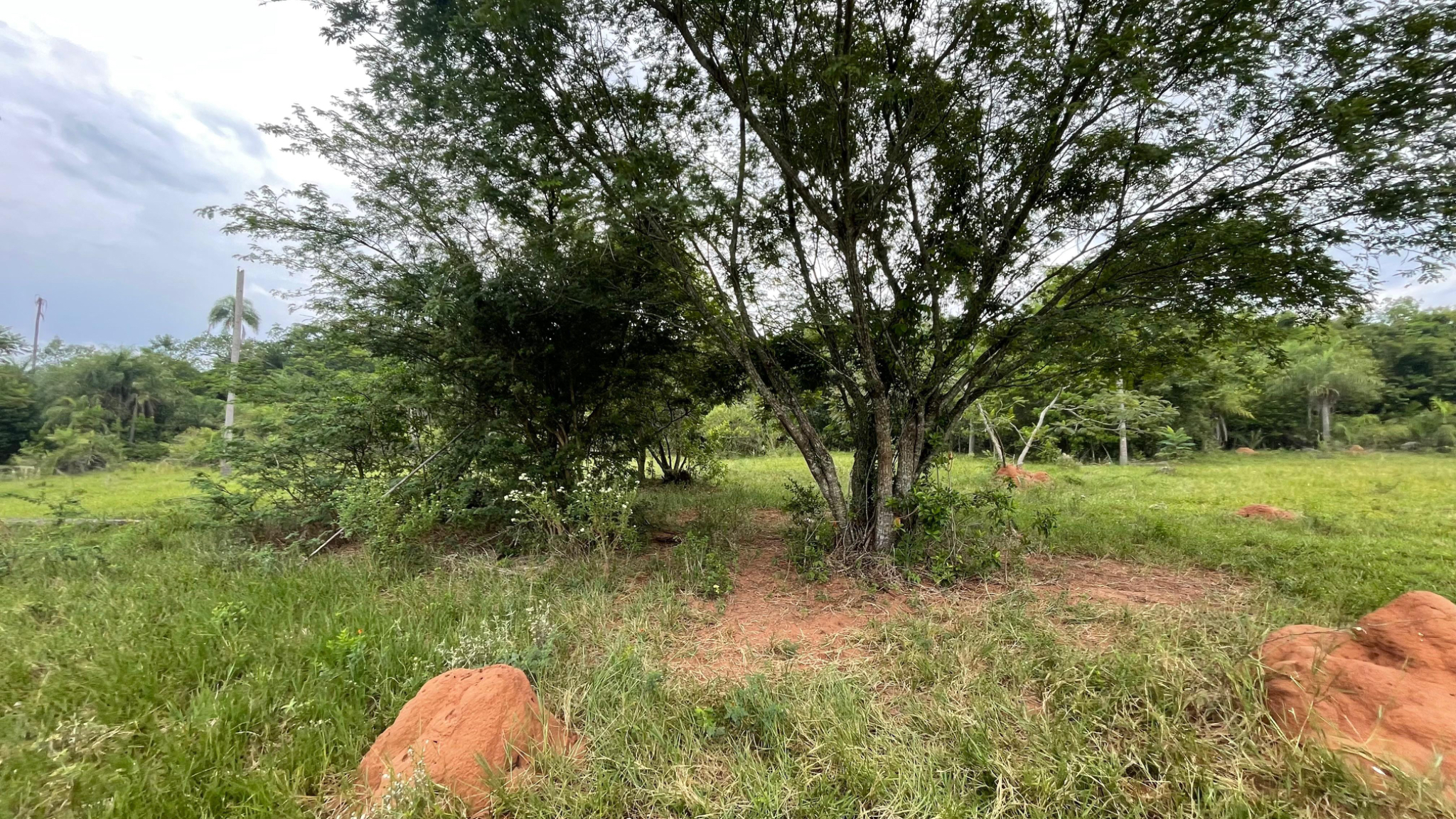 Vendo Hermosa Propiedad De 39 hectáreas en Barrero — foto 3