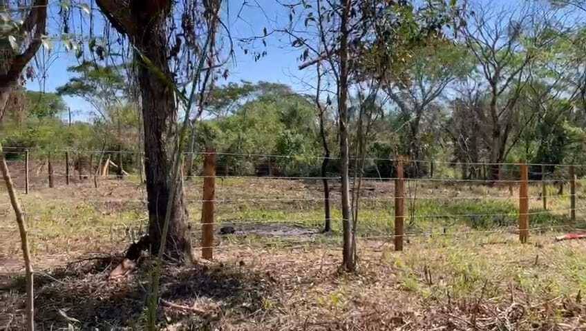 VENDO TERRENO EN SAN BERNARDINO ID: 24172 — foto 3